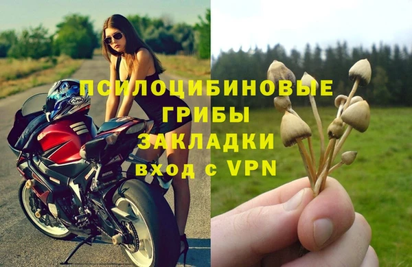 первитин Каменногорск