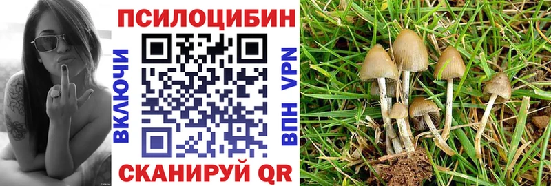 Купить закладки  Кузнецк  Галлюциногенные грибы GOLDEN TEACHER 
